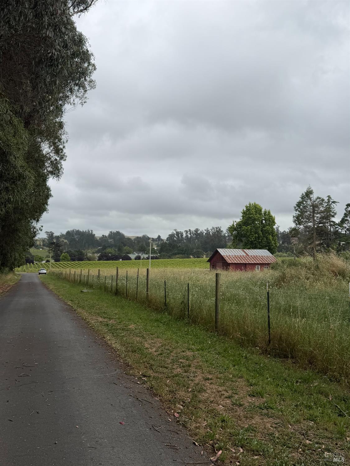 Property photo 17