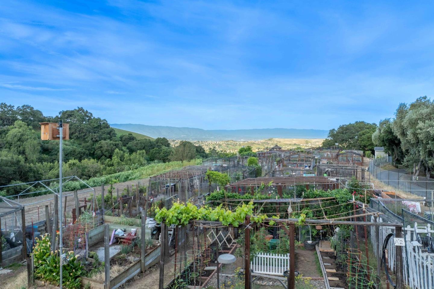 Property photo 43