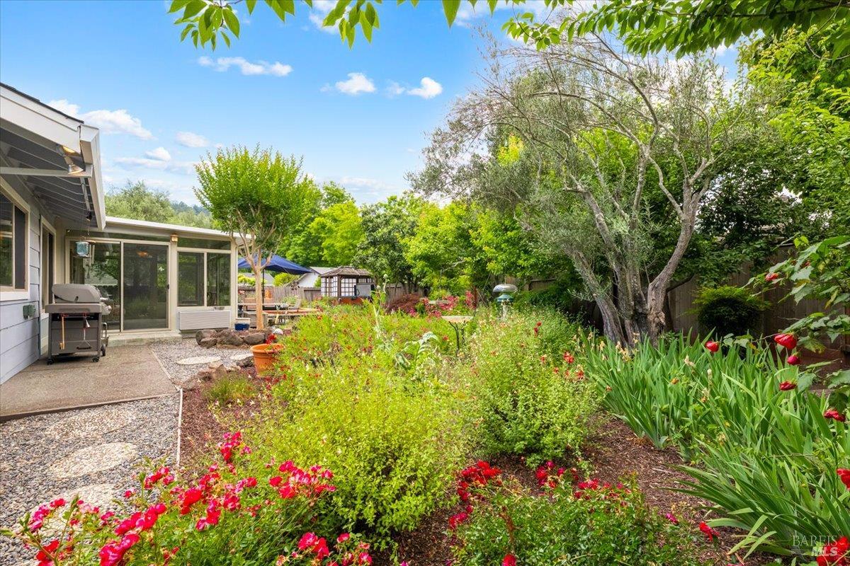 Property photo 44