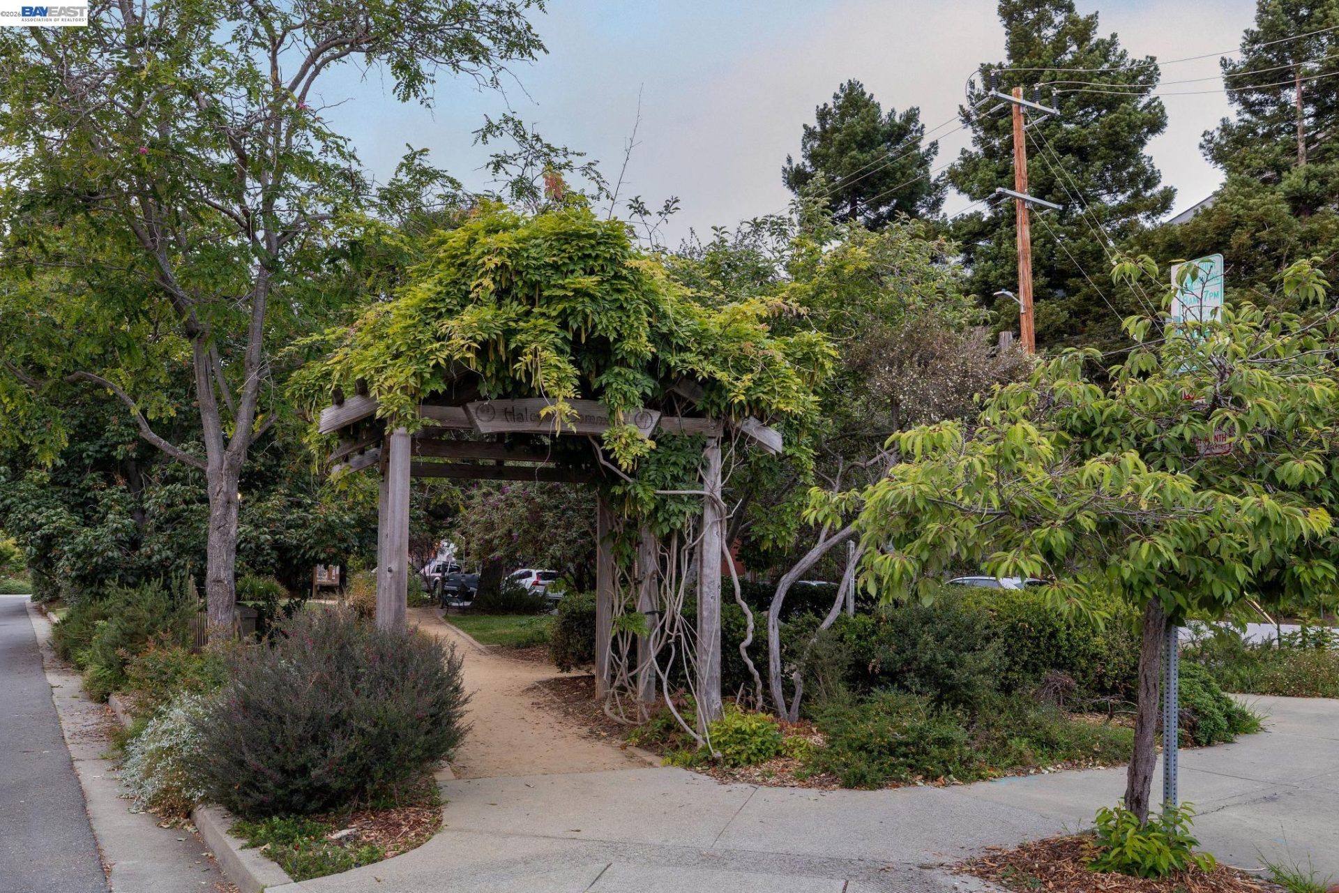 Property photo 45