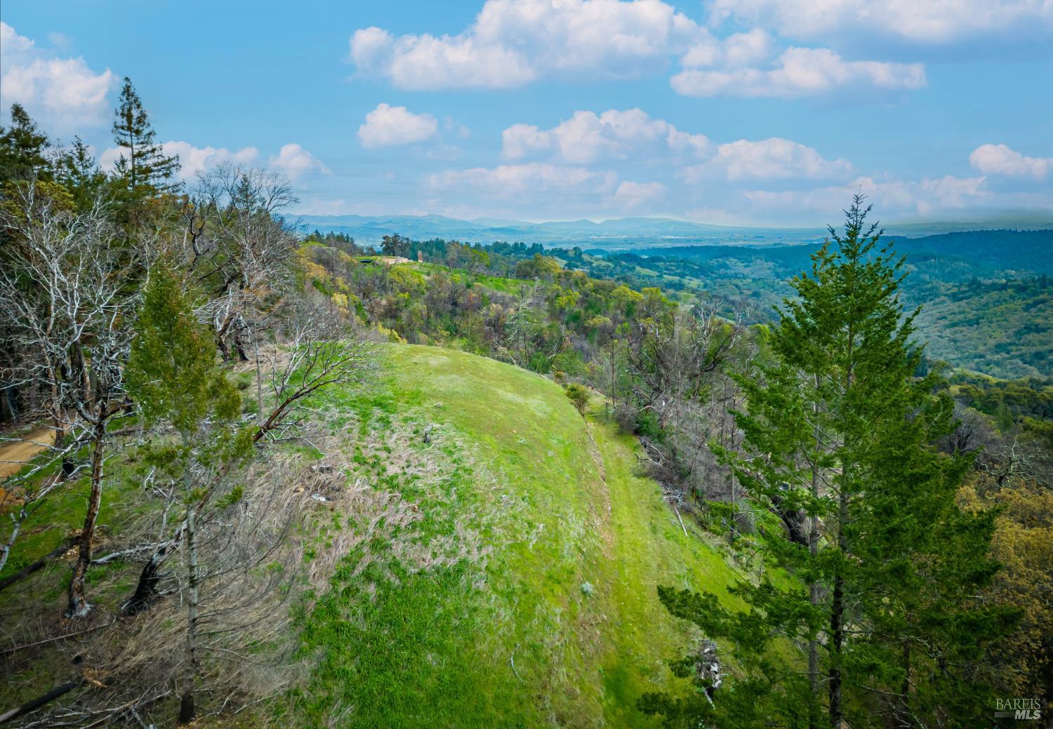 Property photo 51