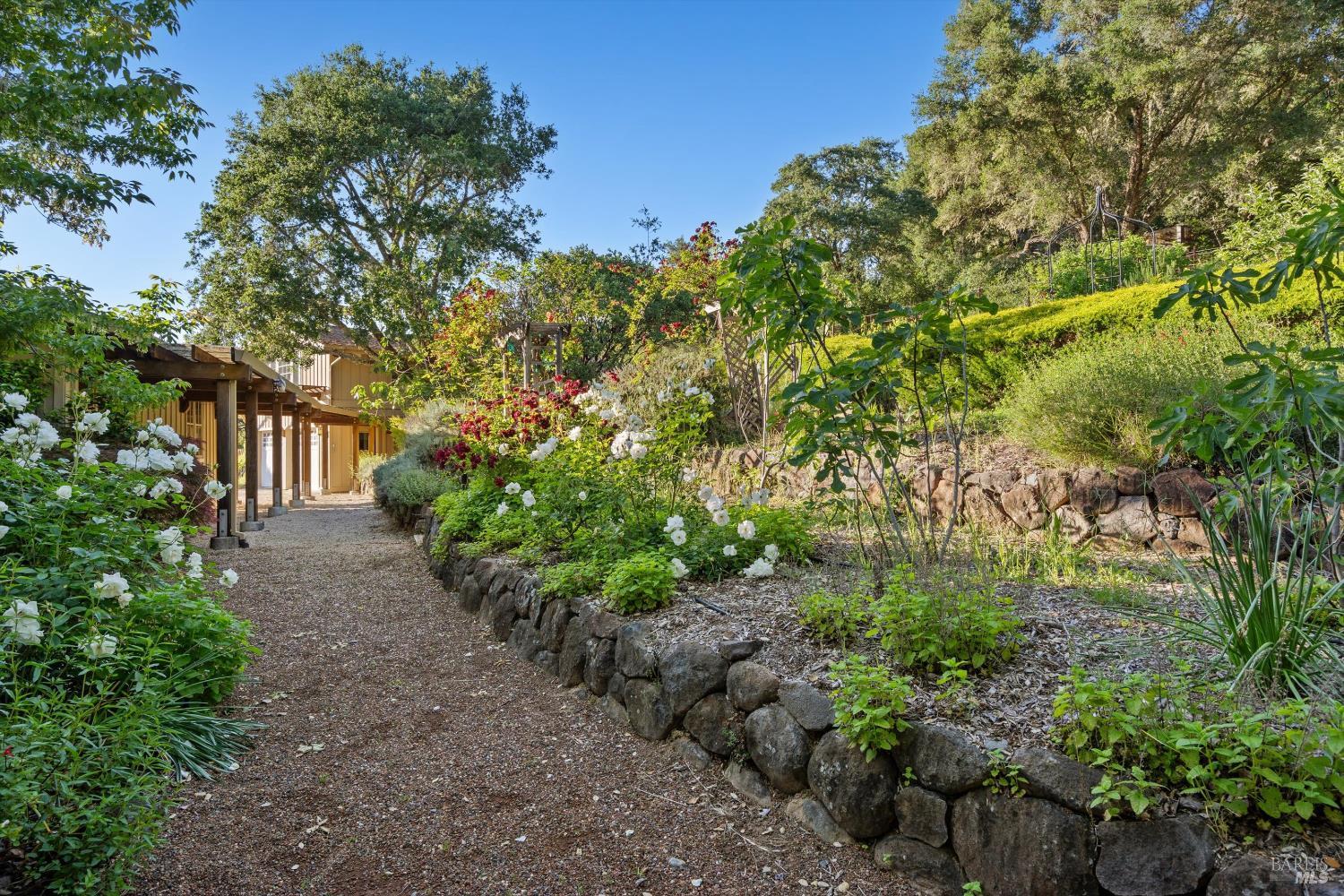 Property photo 37