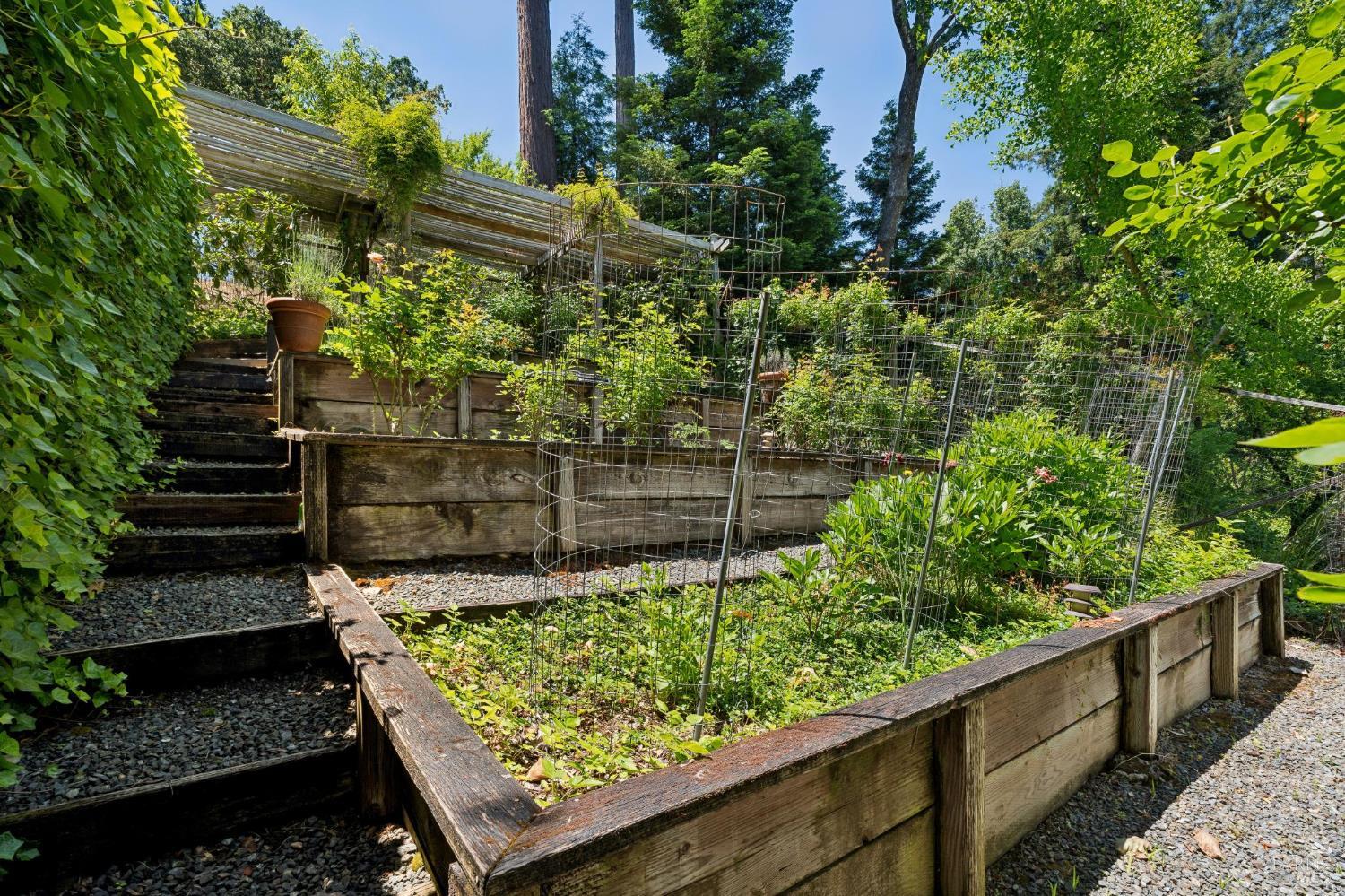 Property photo 44