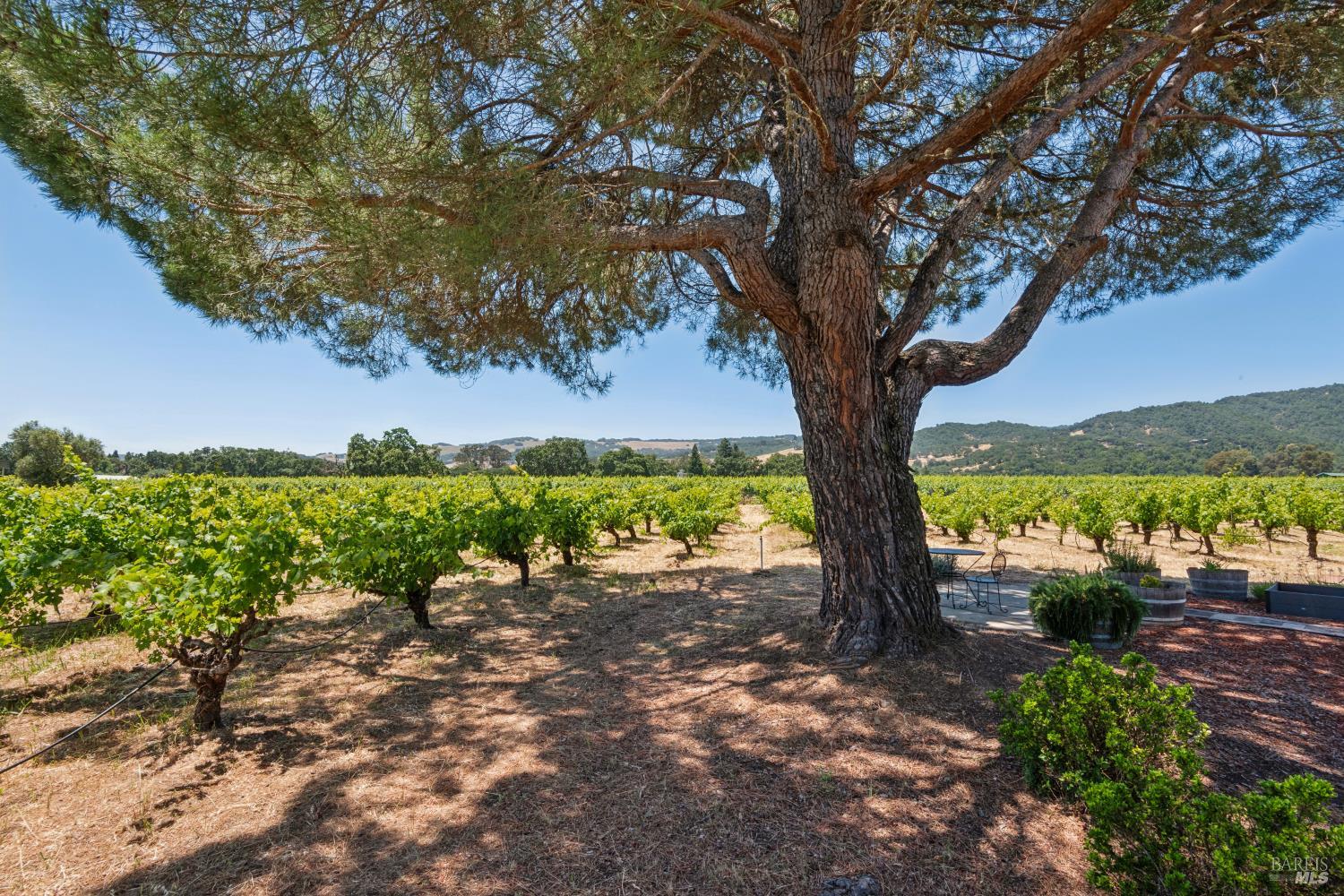 Property photo 32