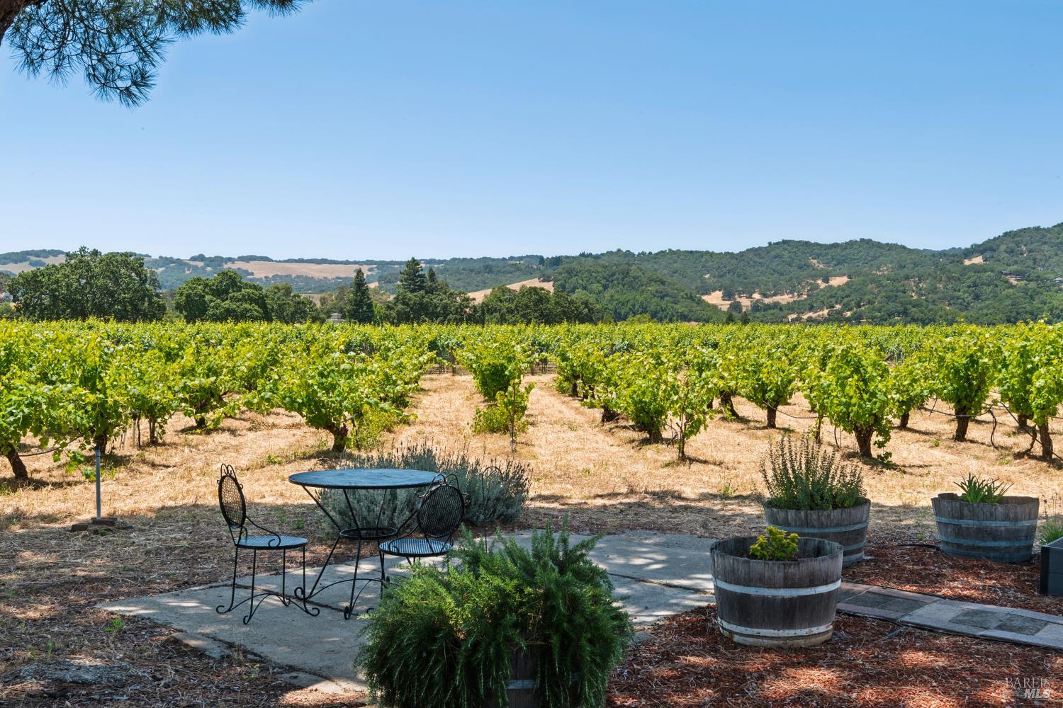 Property photo 43