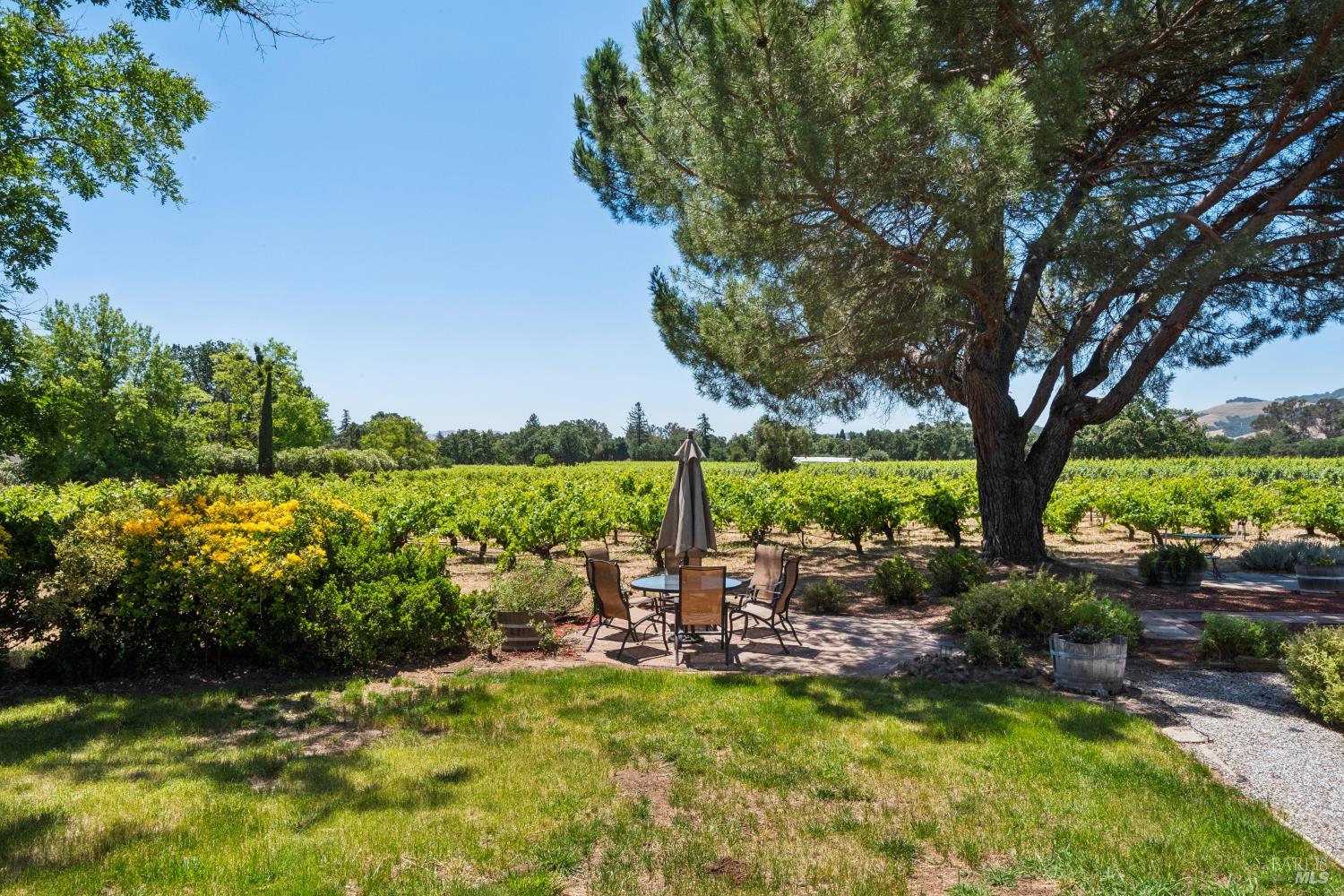 Property photo 46