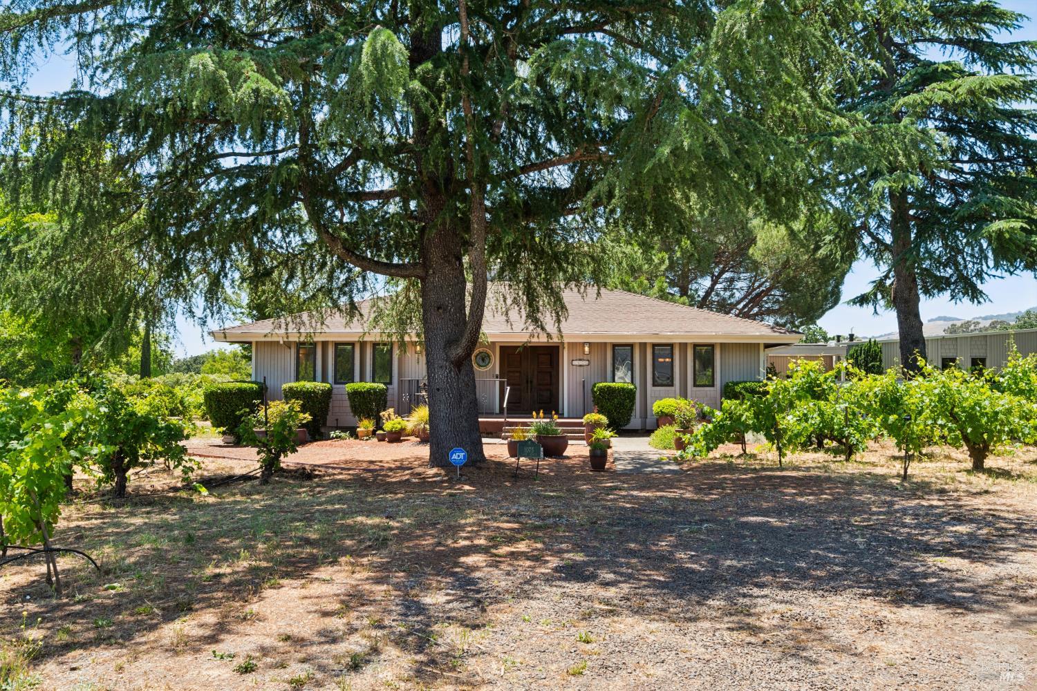 Property photo 47