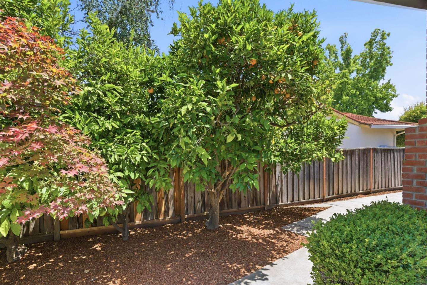 Property photo 43