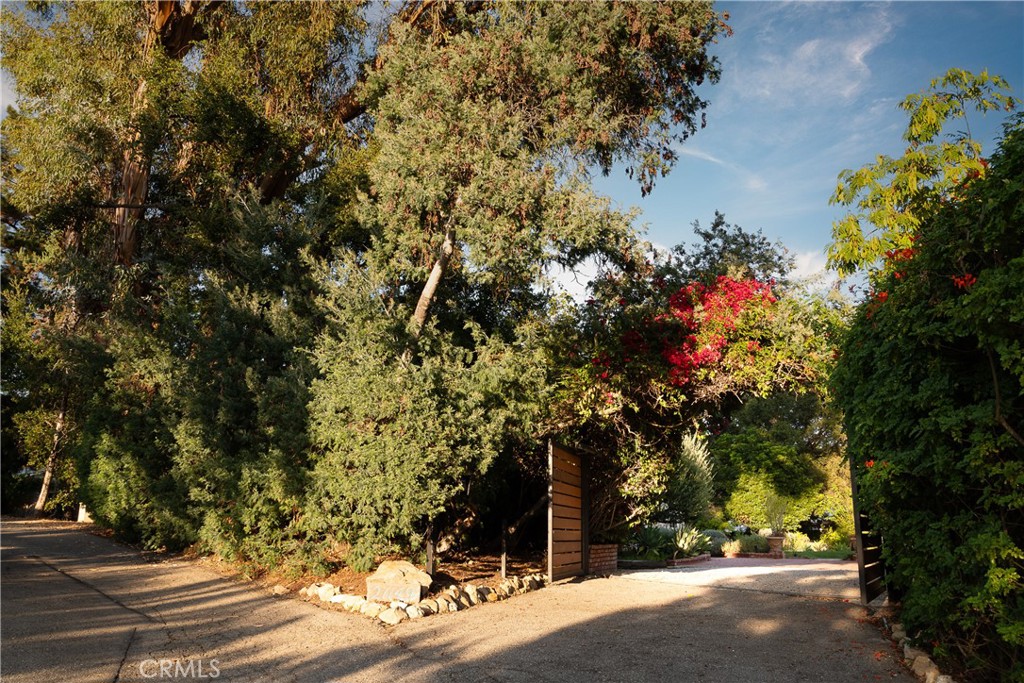 Property photo 42