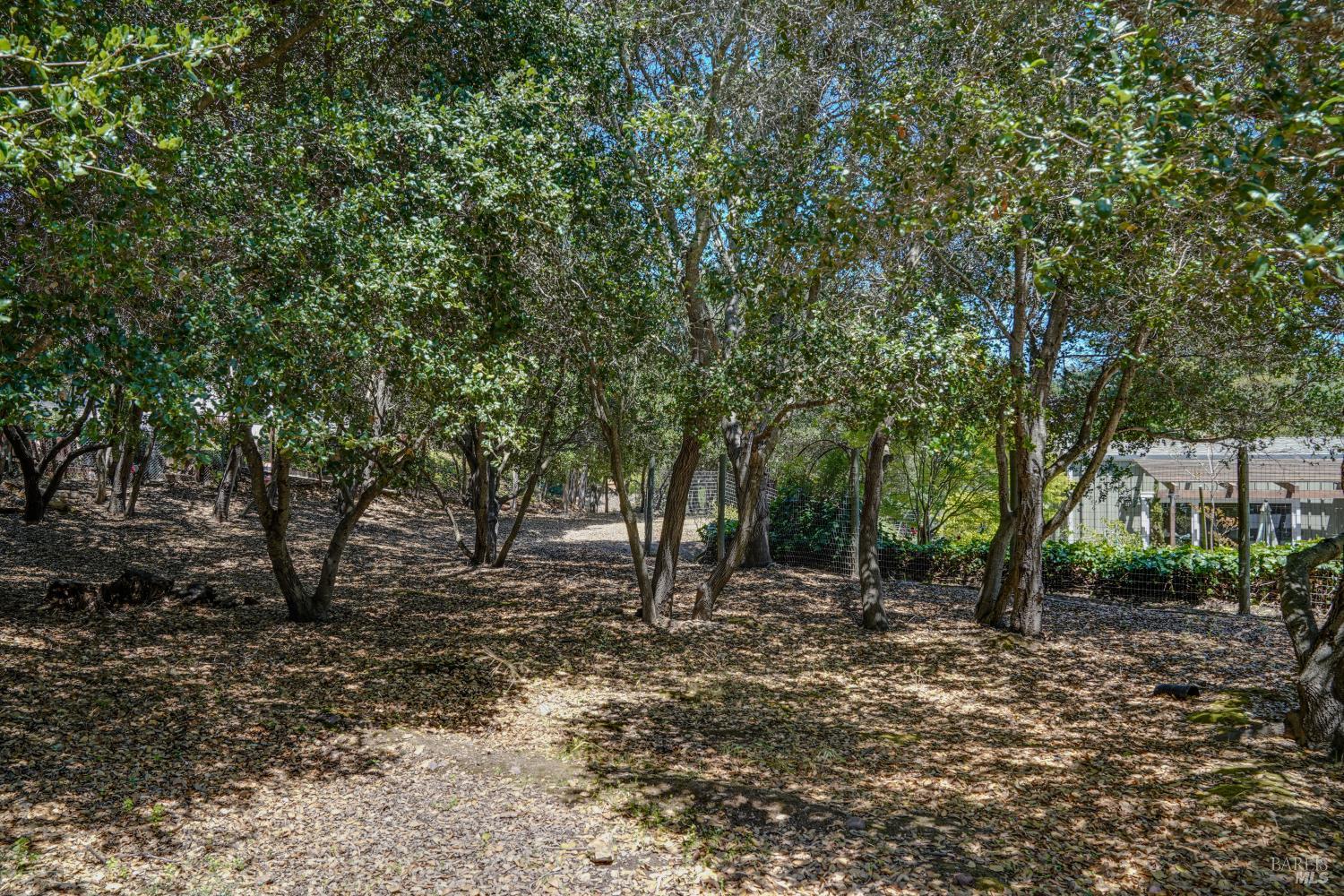 Property photo 40