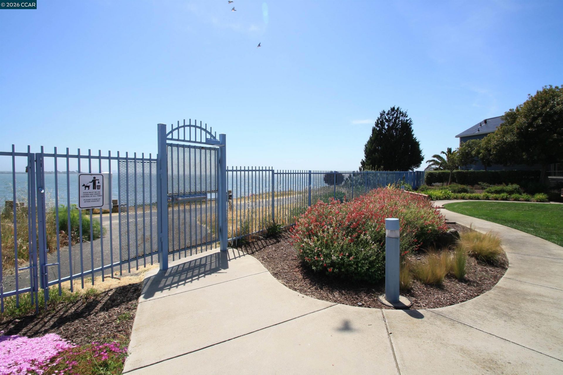 Property photo 42
