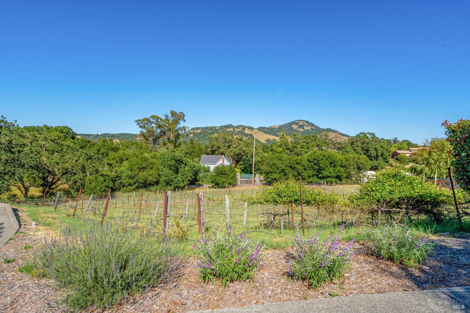 Property photo 43