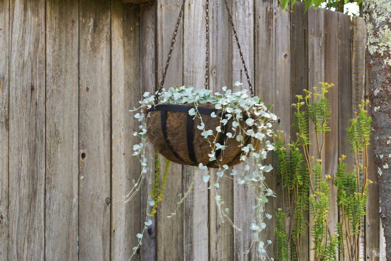 Property photo 39