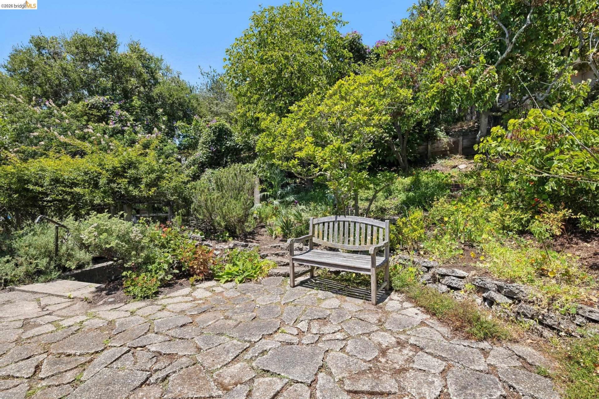 Property photo 44