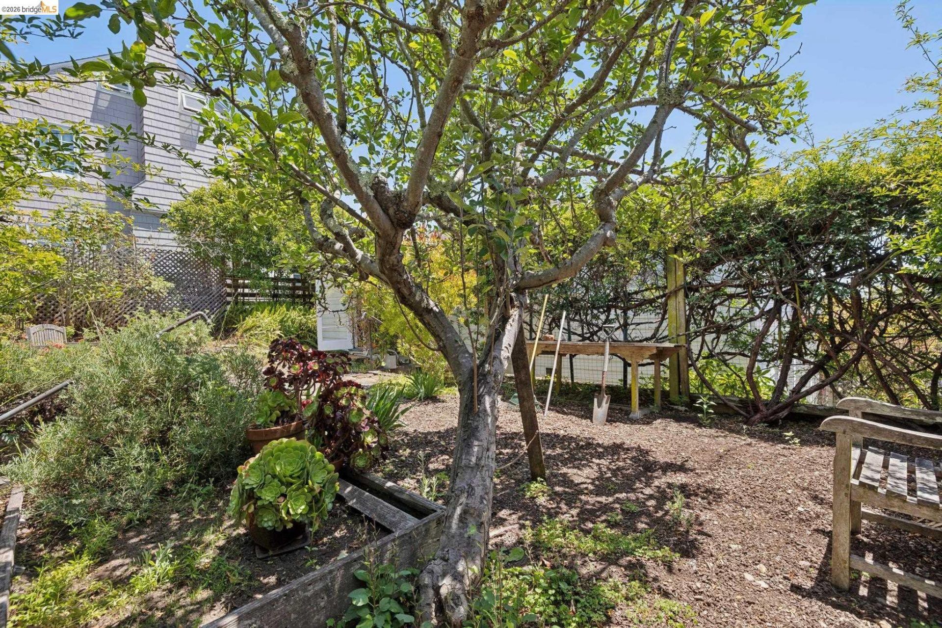 Property photo 51