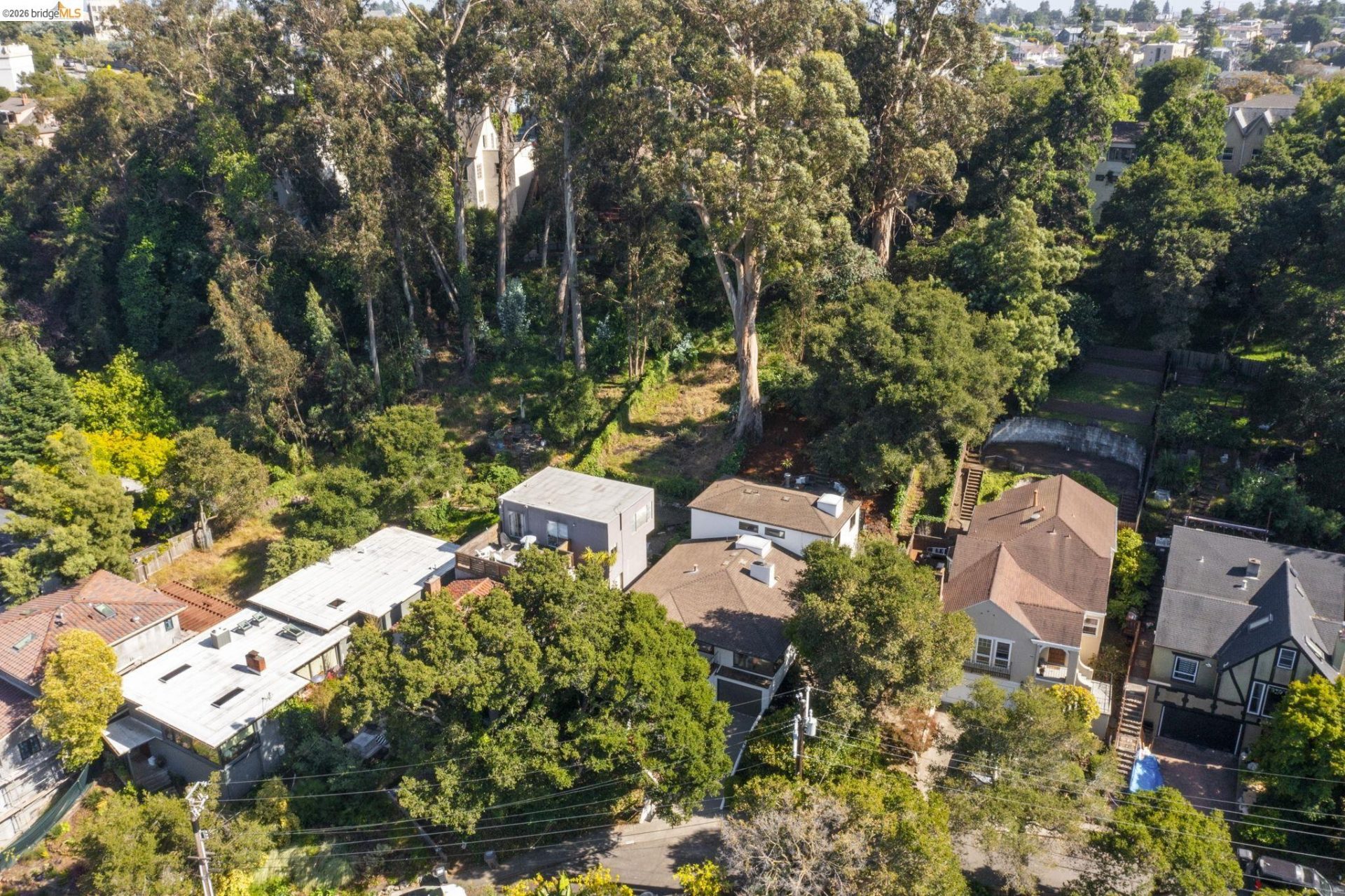 Property photo 49