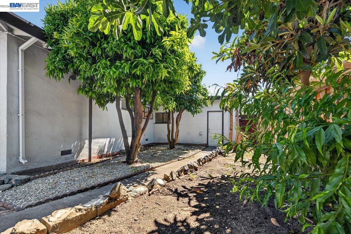 Property photo 37