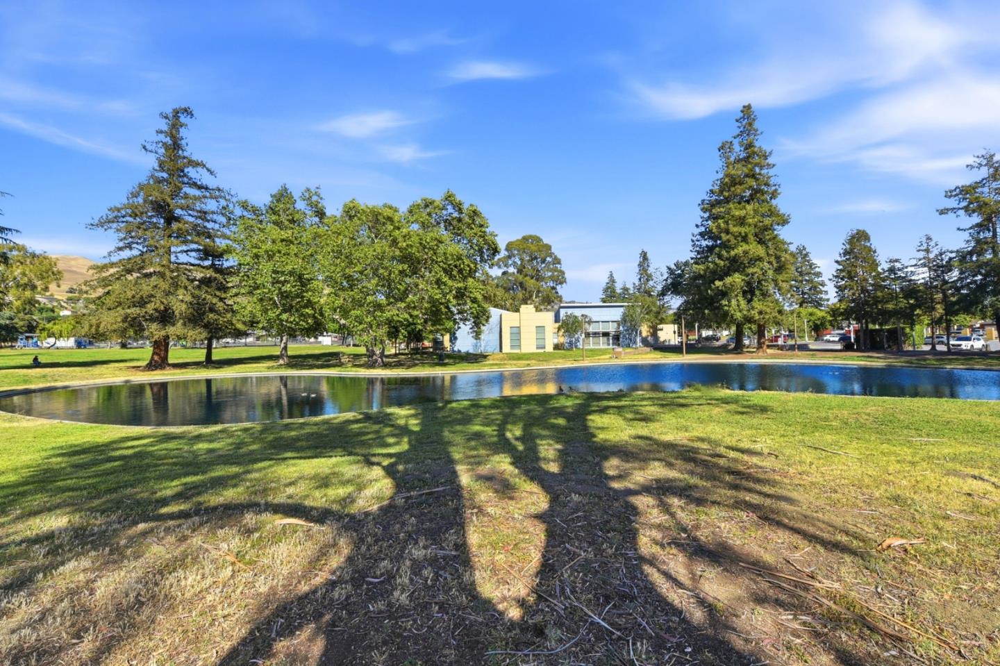 Property photo 32