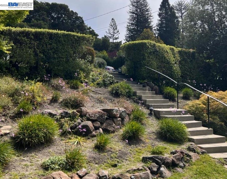 Property photo 46