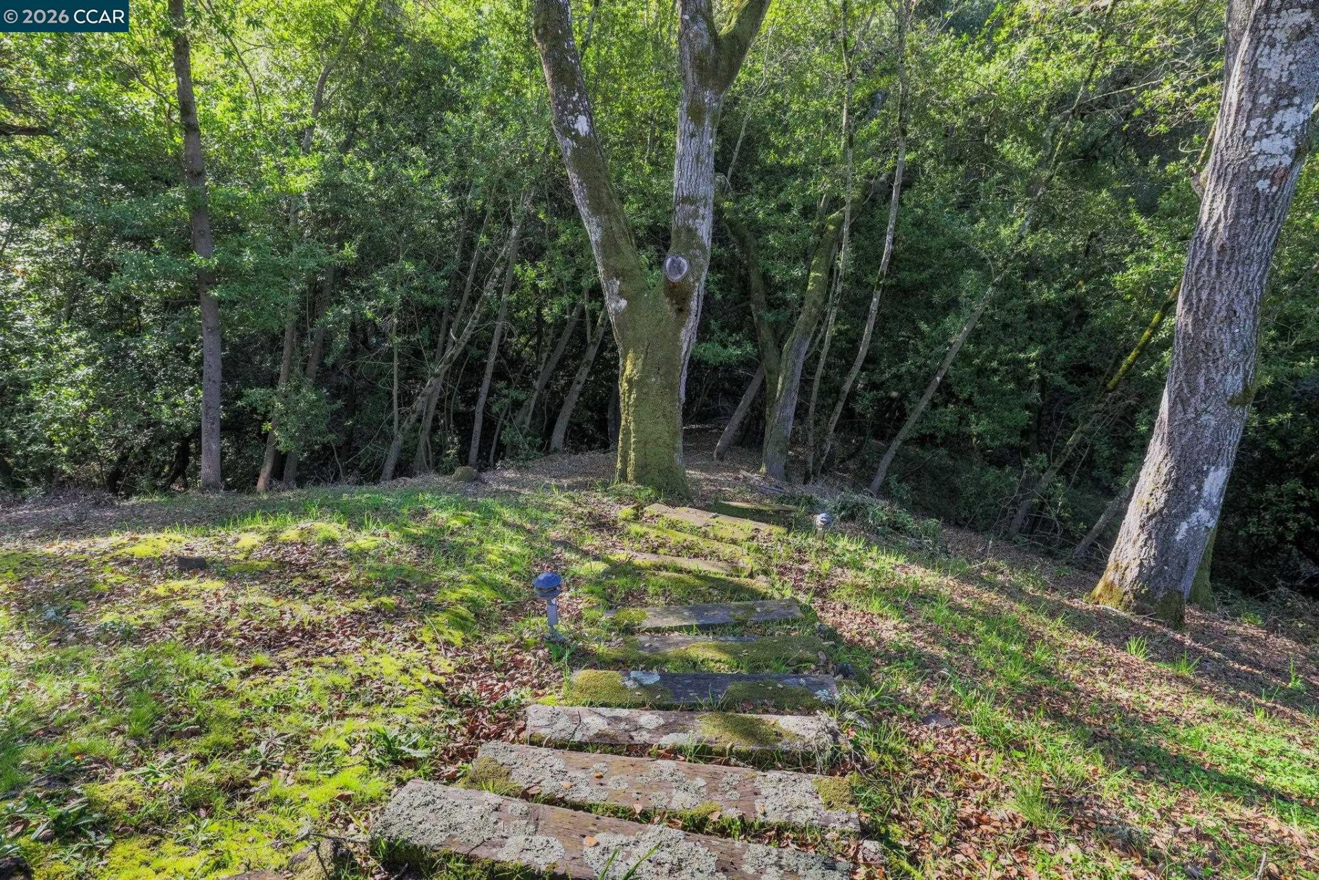 Property photo 41