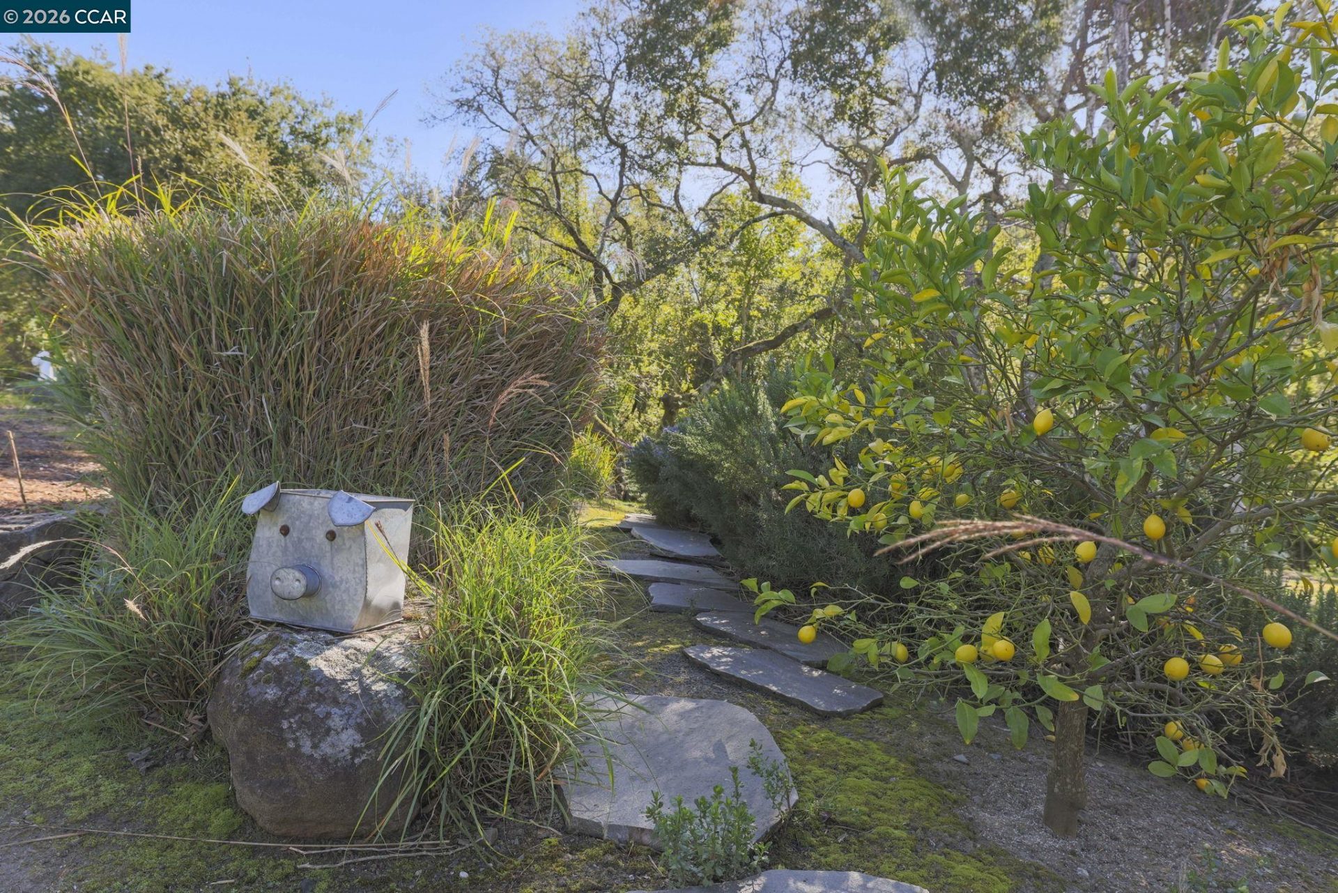 Property photo 42