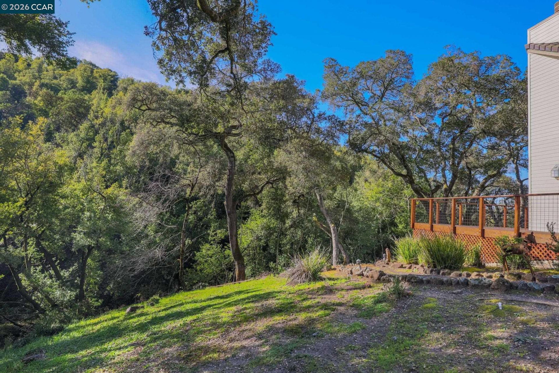 Property photo 44
