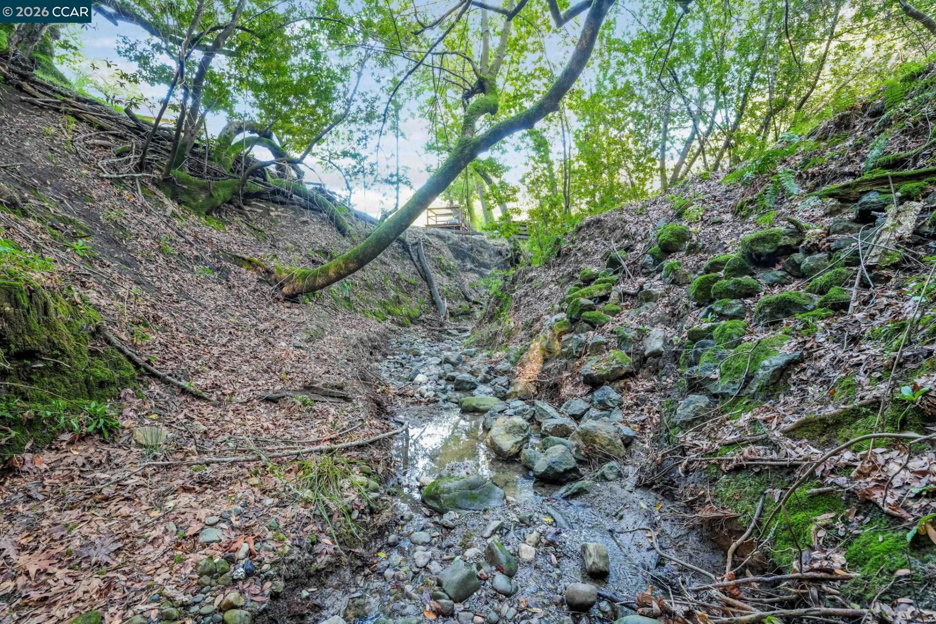 Property photo 48