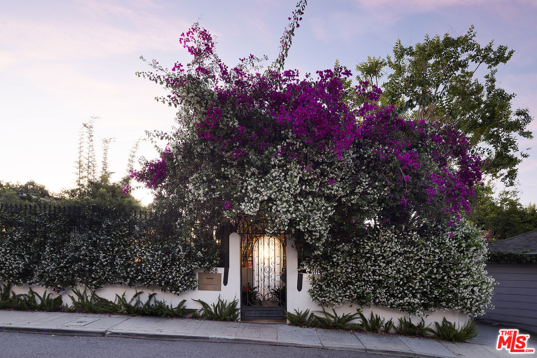 Property photo 37
