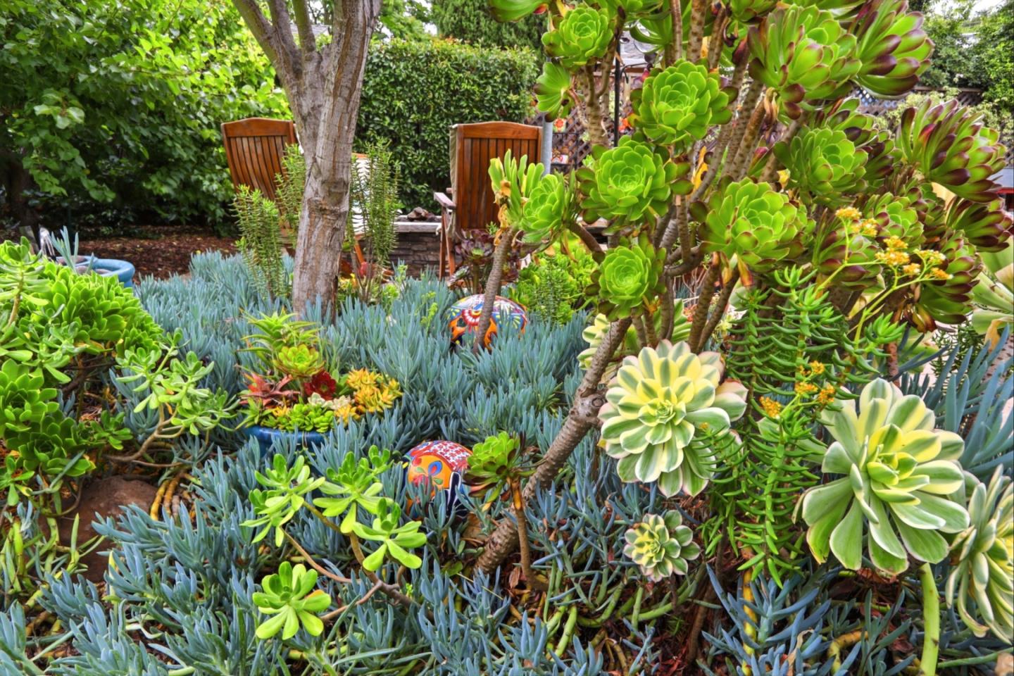 Property photo 48