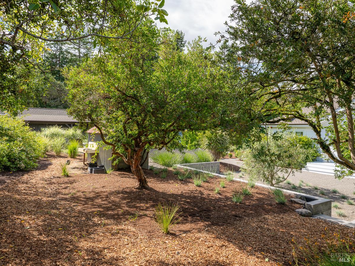 Property photo 46
