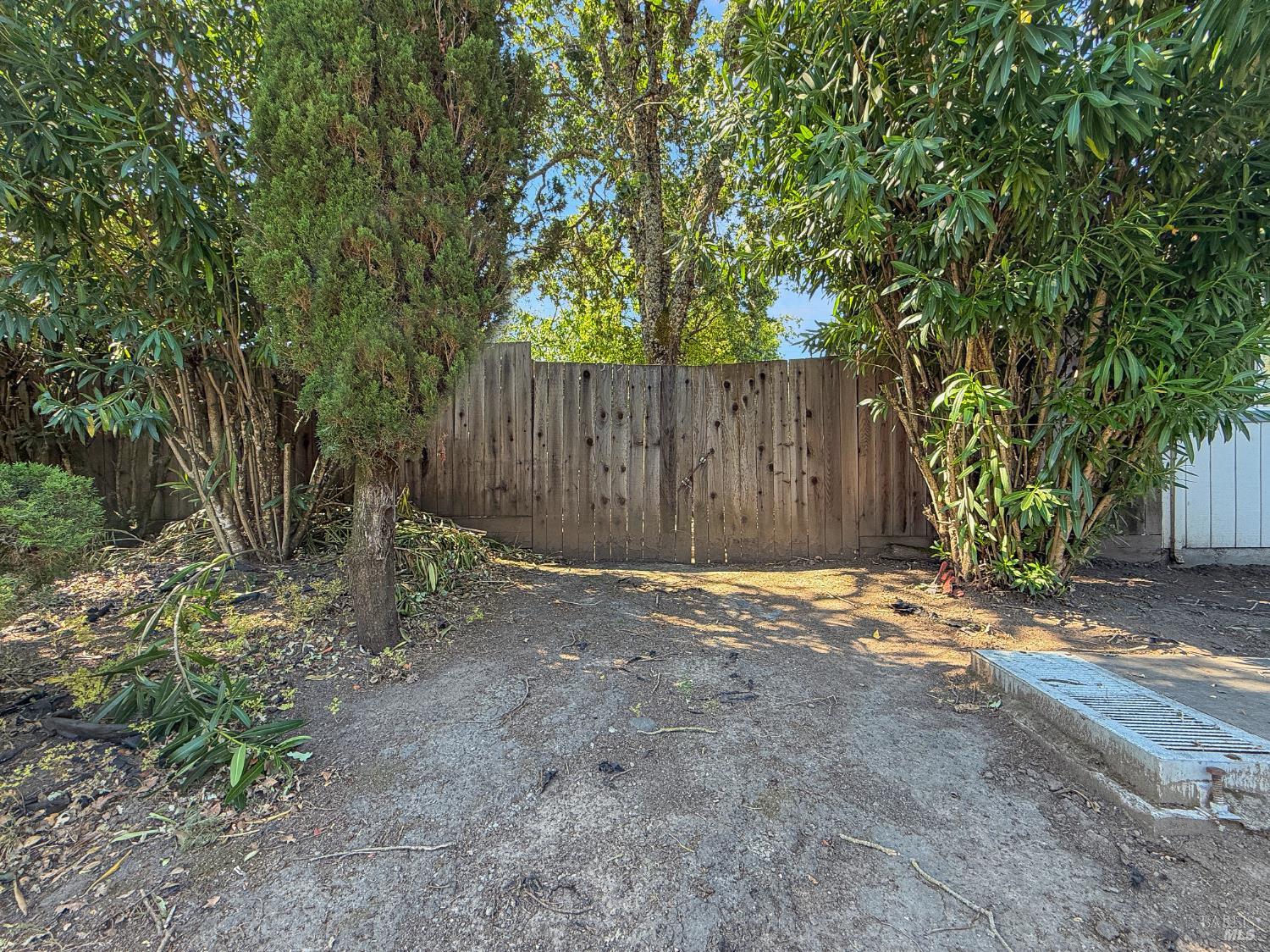 Property photo 39