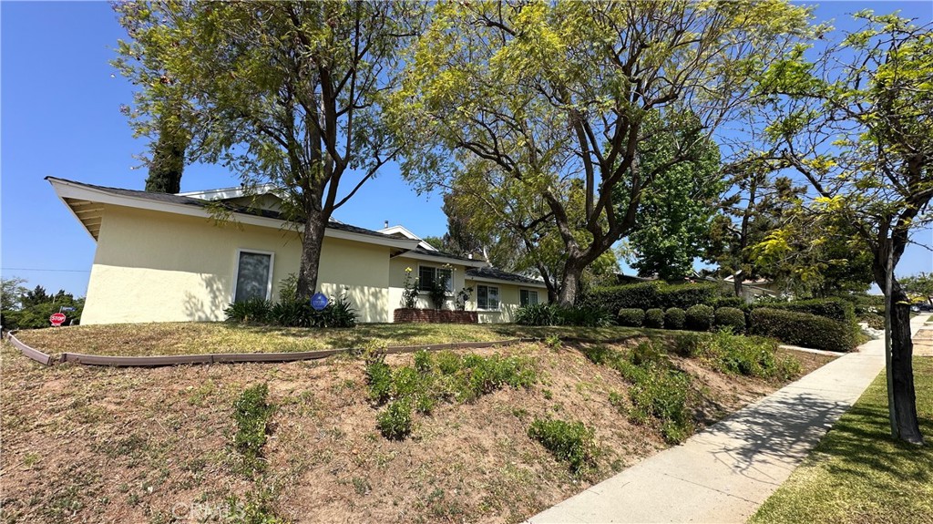 Property photo 38