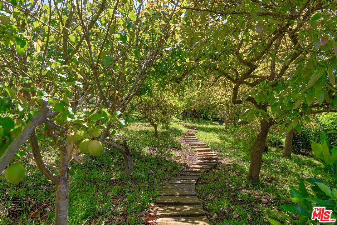 Property photo 49