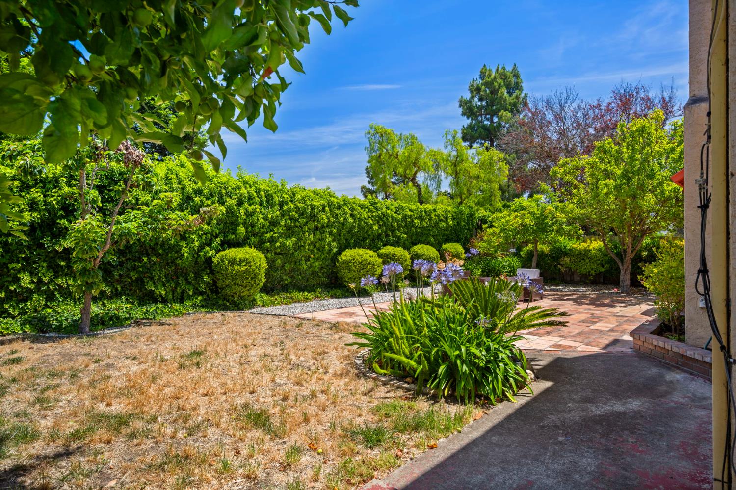 Property photo 38