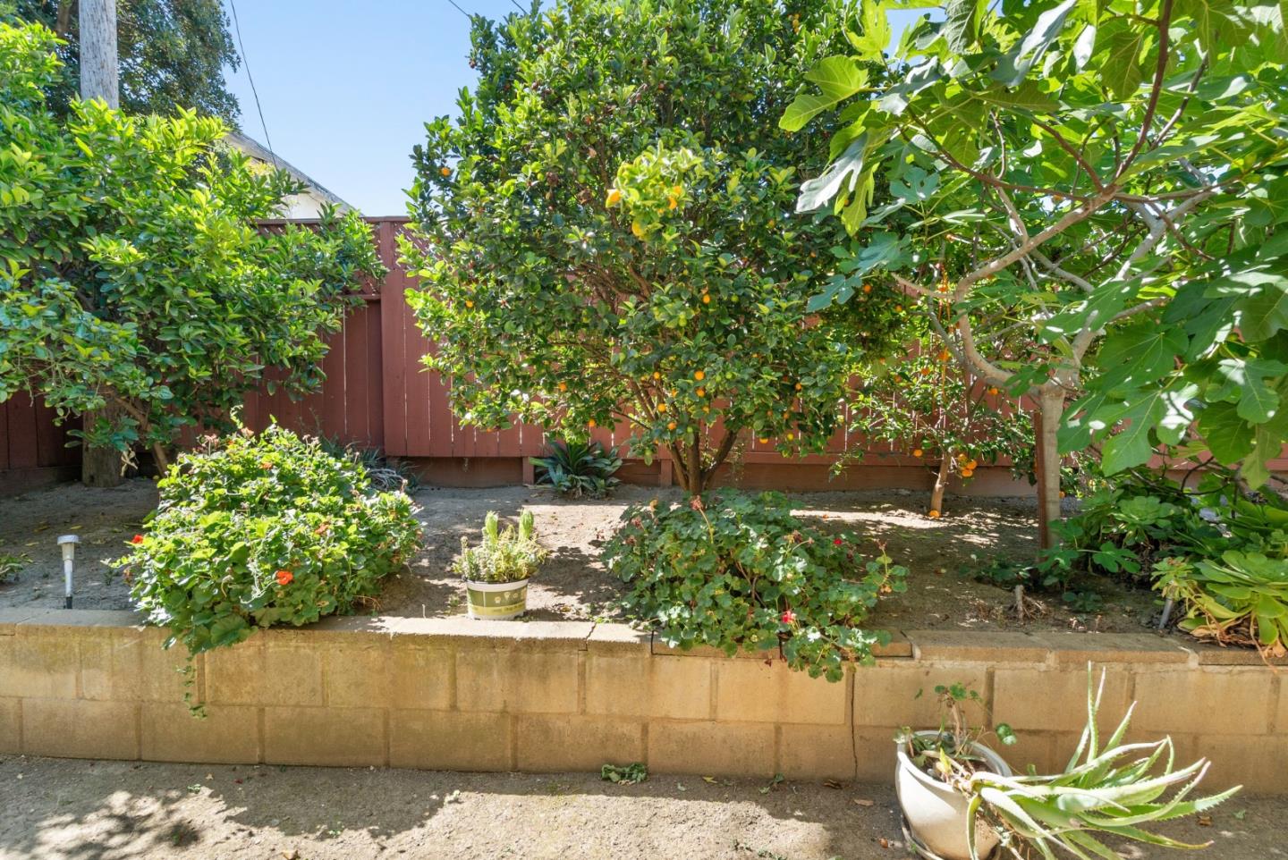 Property photo 42