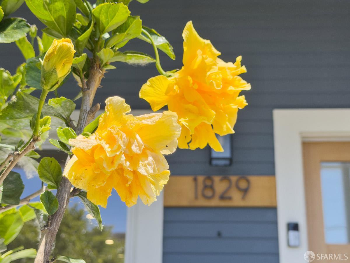 Property photo 41
