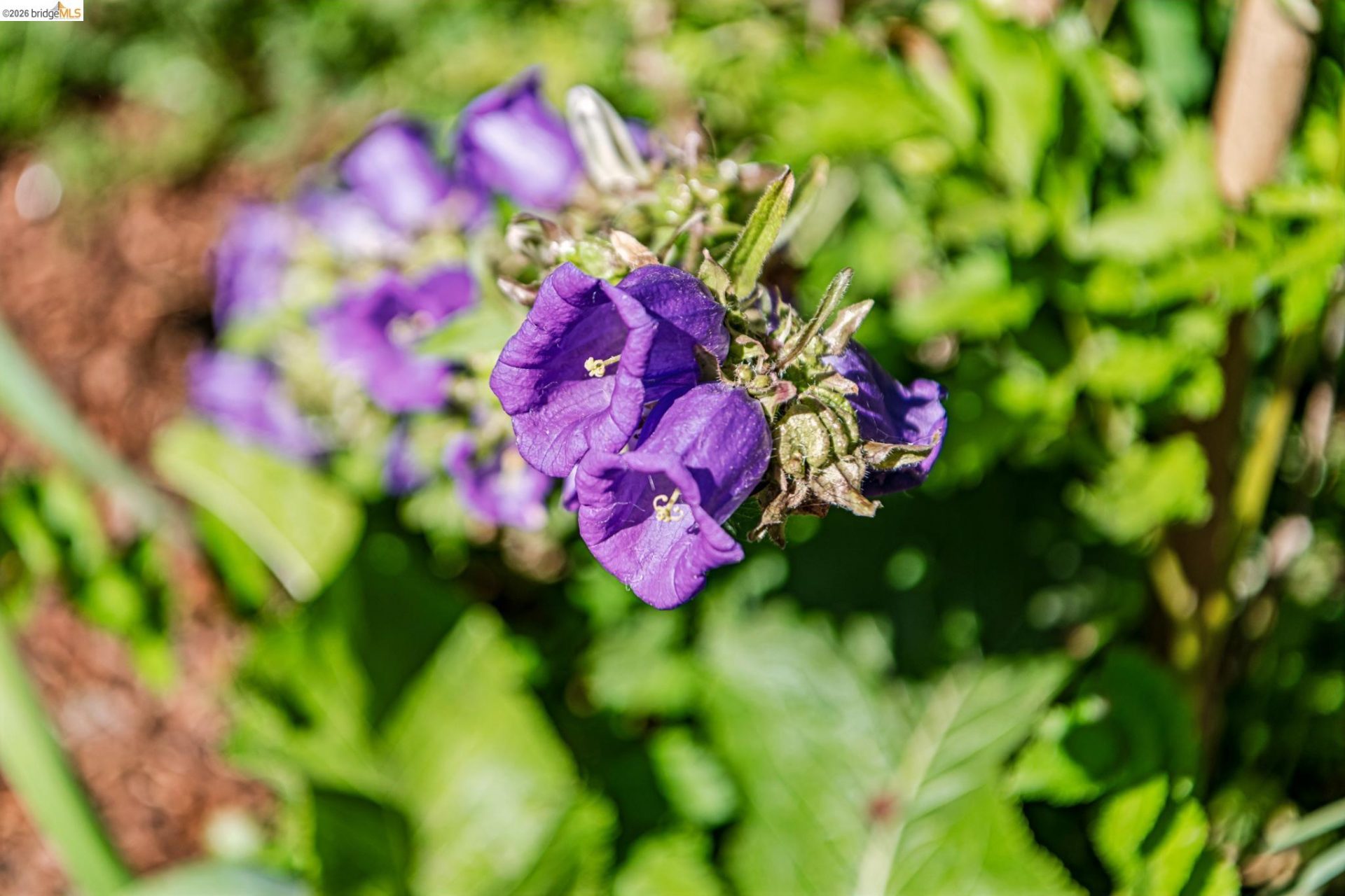 Property photo 42