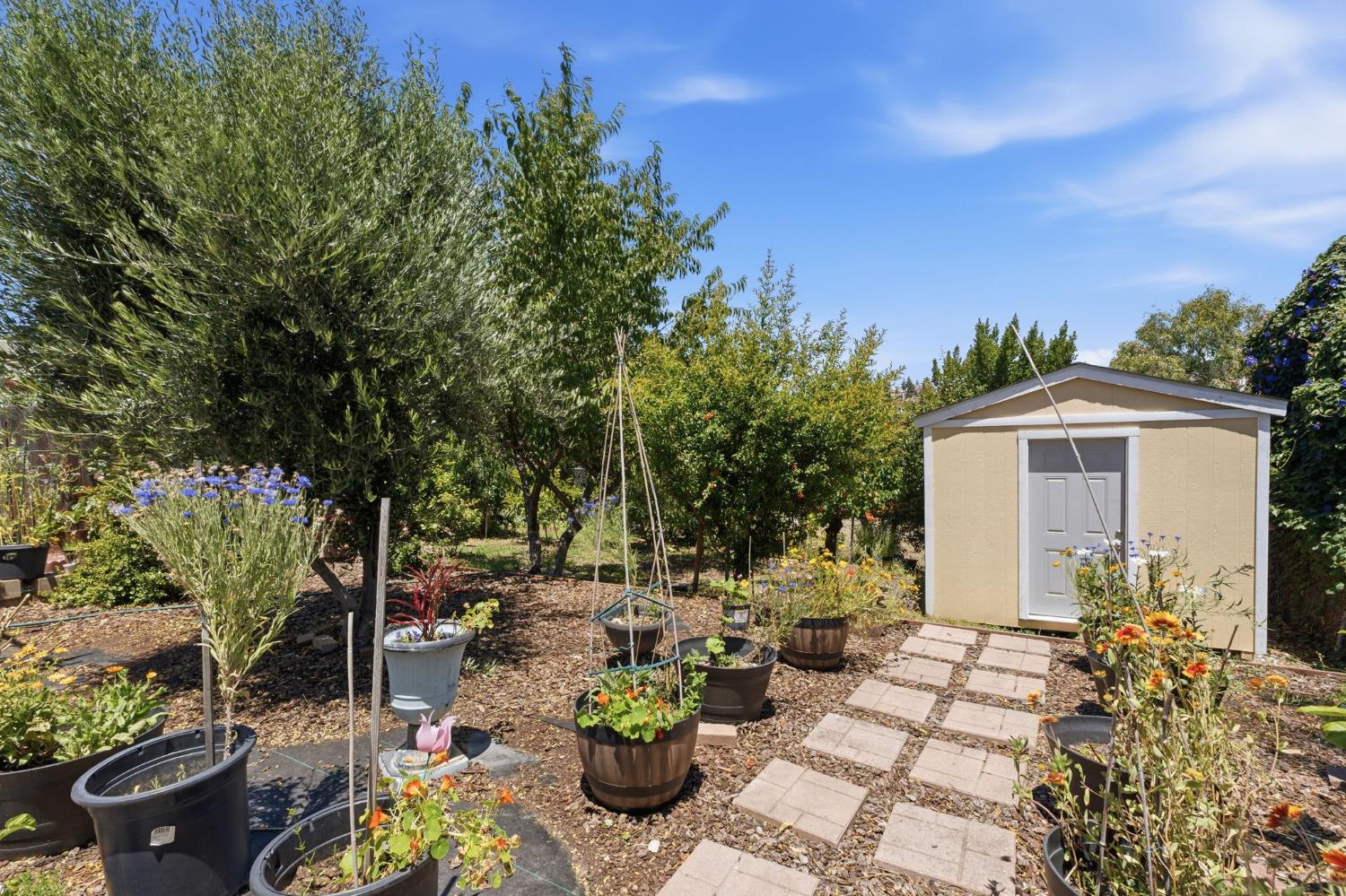 Property photo 36