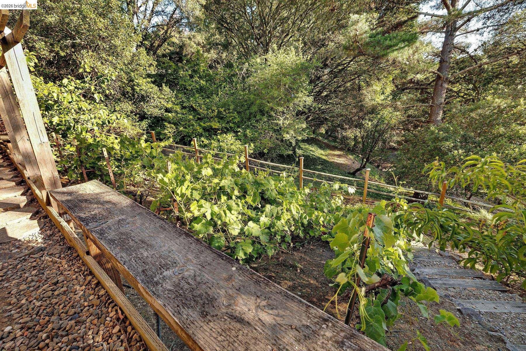 Property photo 46