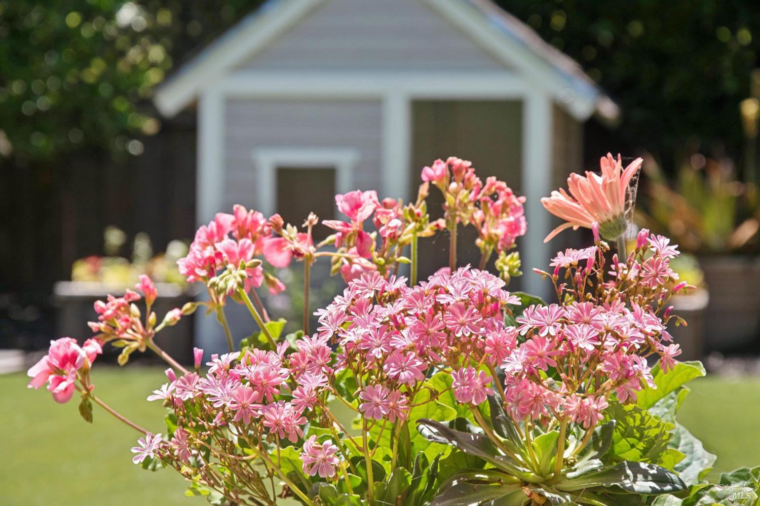 Property photo 41