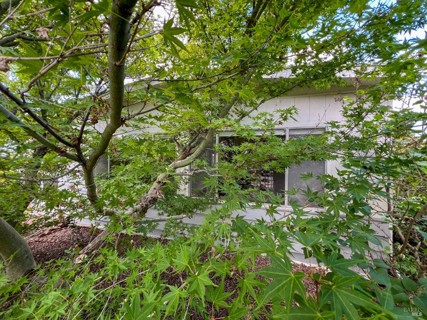 Property photo 34
