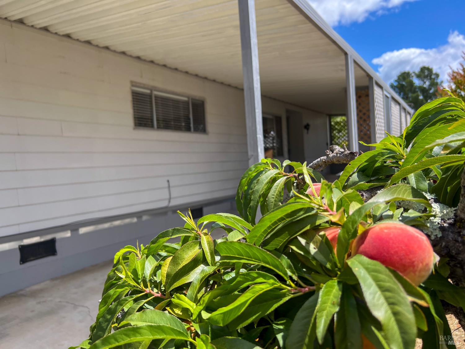 Property photo 37