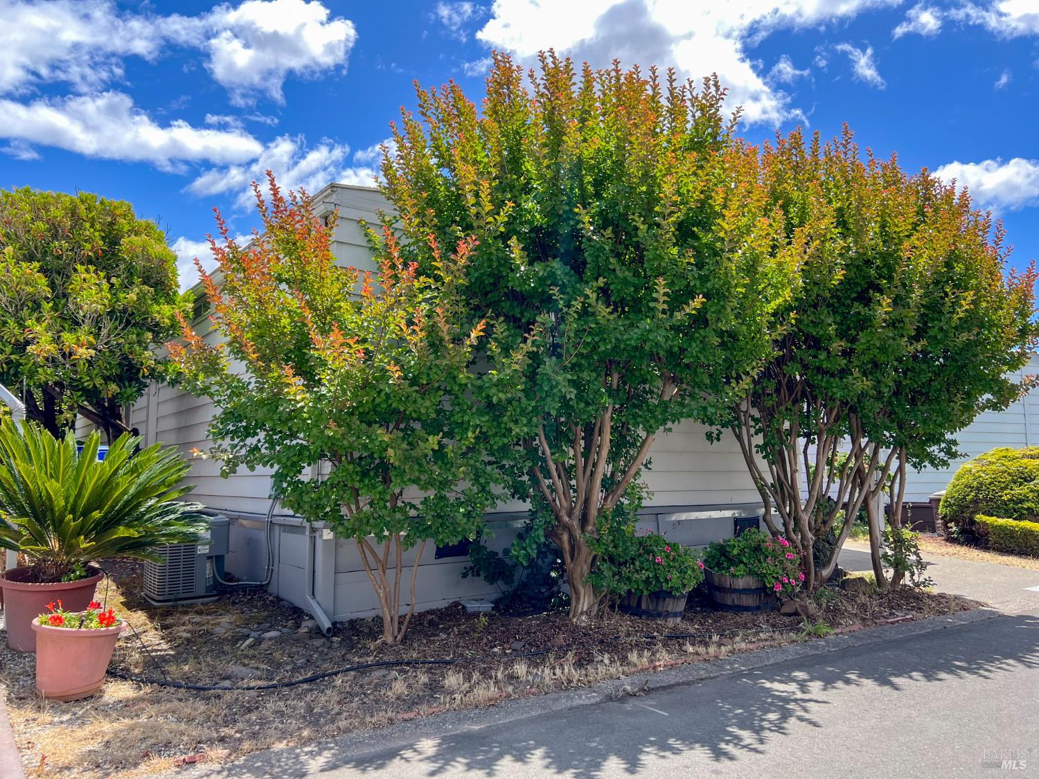 Property photo 40
