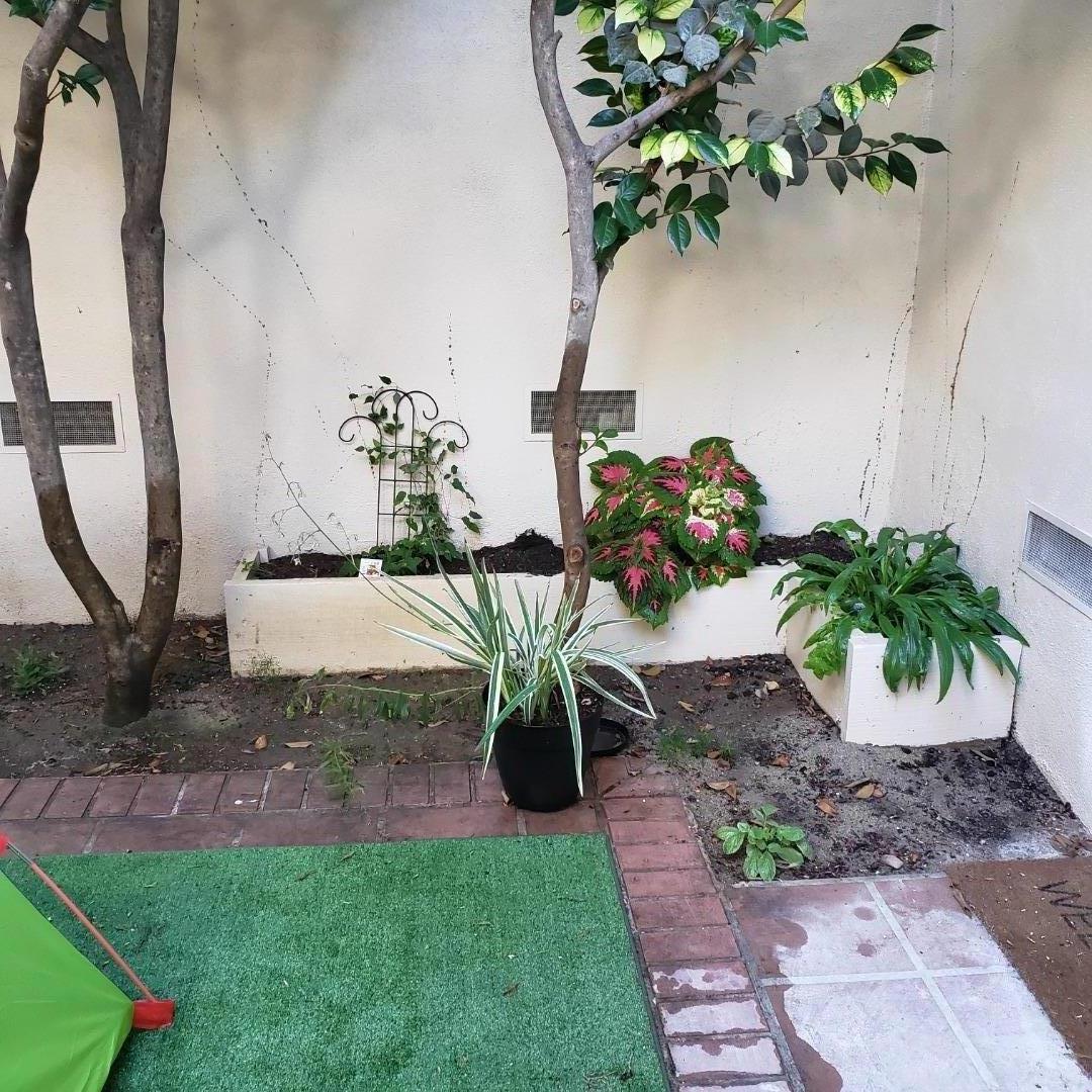 Property photo 31