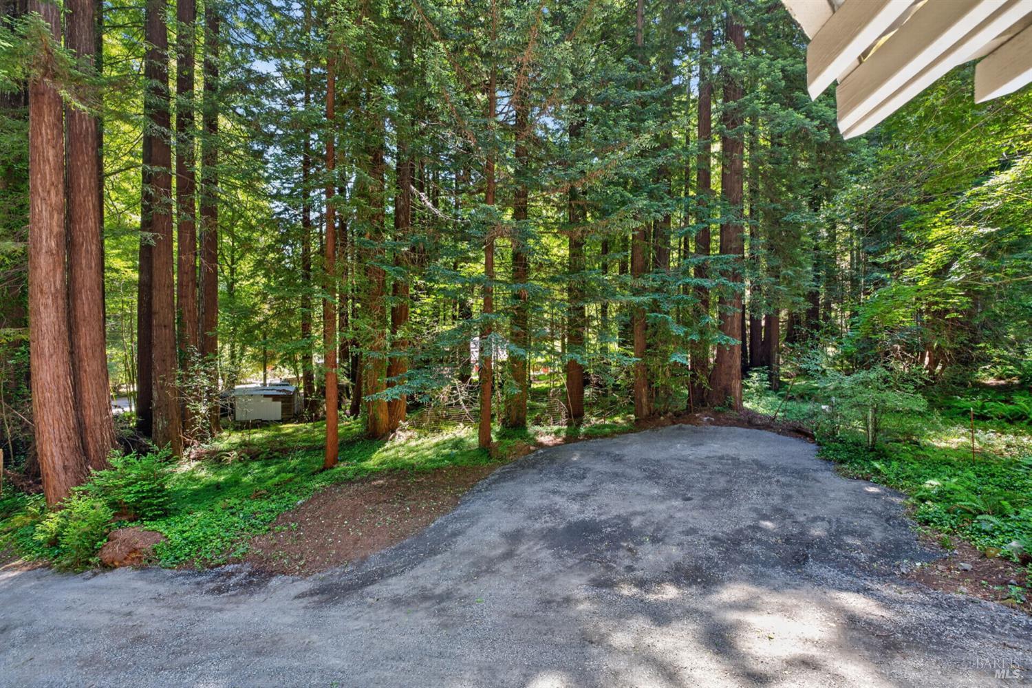 Property photo 42