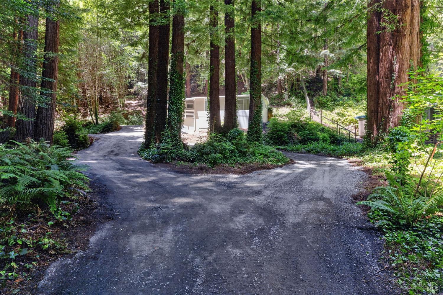 Property photo 43