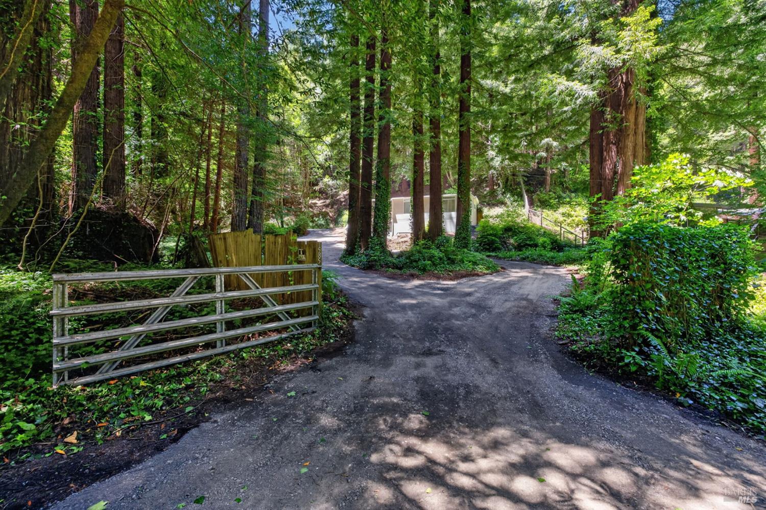 Property photo 46