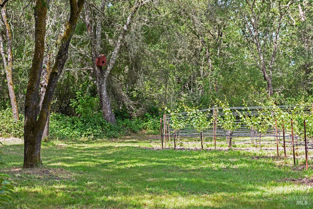Property photo 42