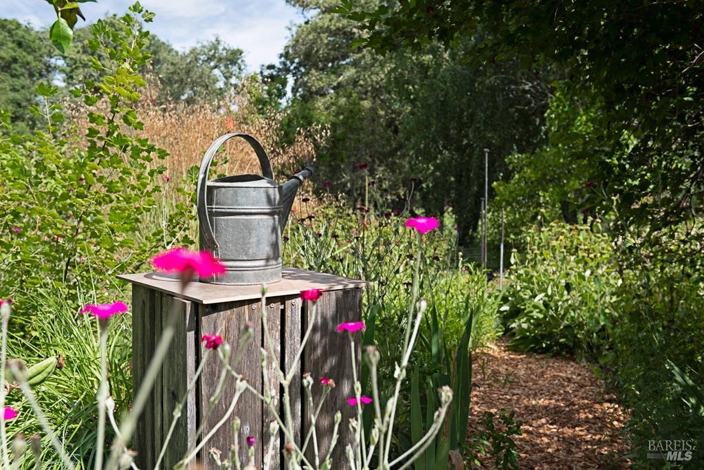 Property photo 43
