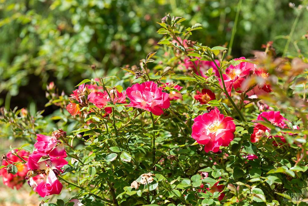 Property photo 45